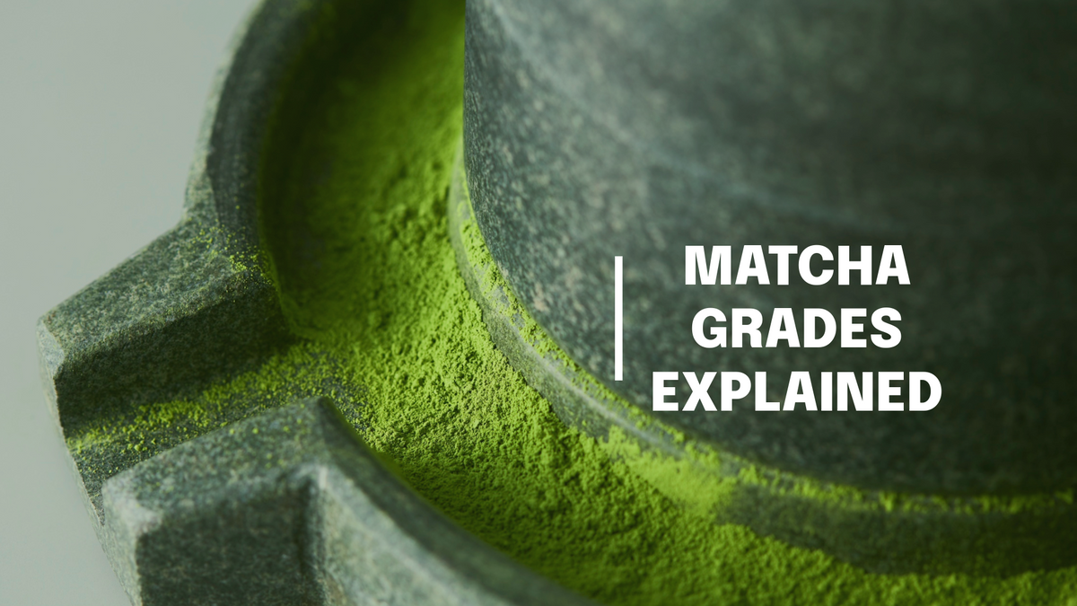 Matcha types explained: Ceremonial, Premium, Culinary & Flavored matcha