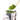 Green Matcha Powder 