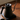 Fellow